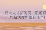 武汉人才网：职场晋升加薪法你能做到几个?