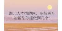 武汉人才网：职场晋升加薪法你能做到几个?