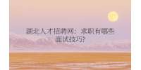 湖北人才网：求职有哪些面试技巧?